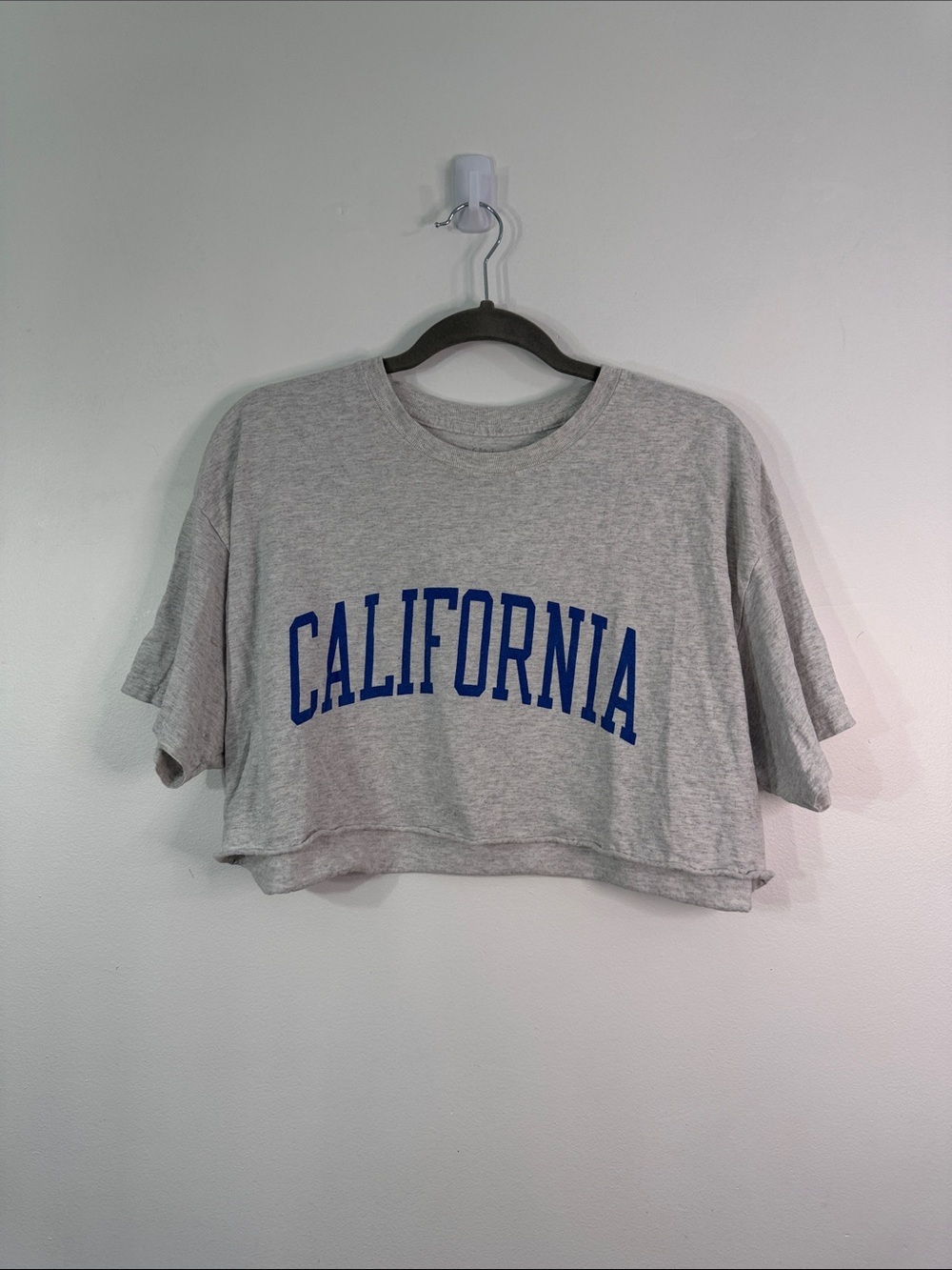 John Galt Oversized Cropped California Tee